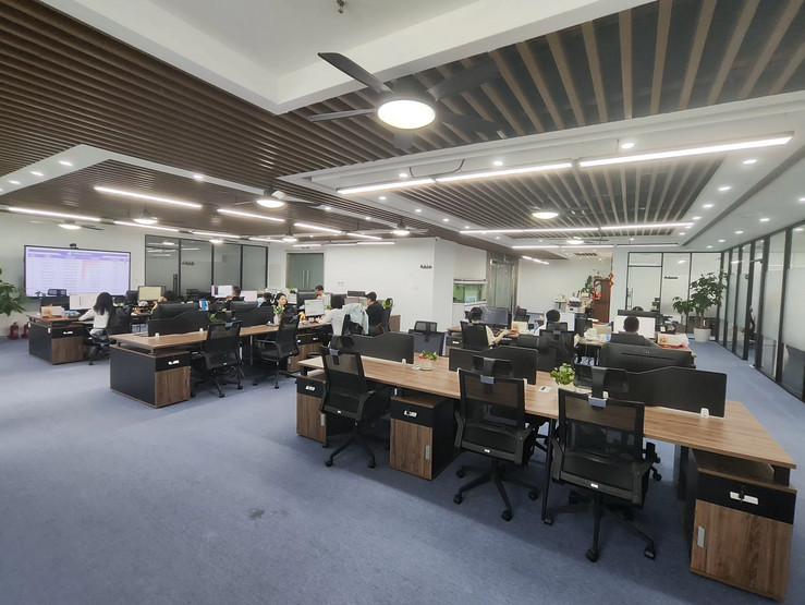 Chine Wuhan The One Micro Technology Co., Ltd. Profil de la société