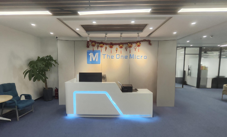 Chine Wuhan The One Micro Technology Co., Ltd. Profil de la société